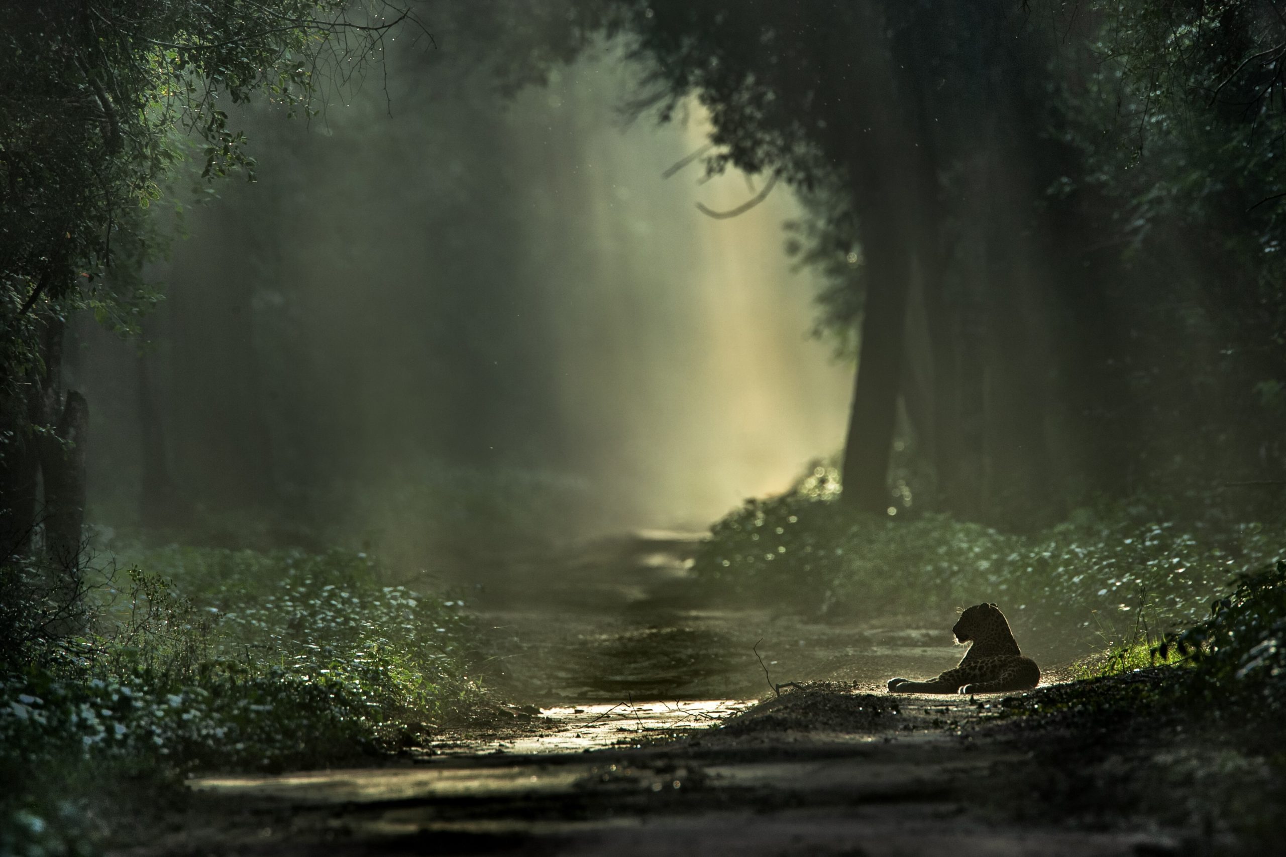 Ranthambhore